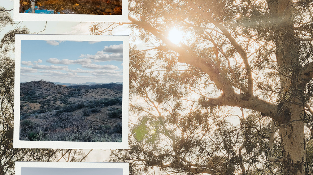 A Journey Through the Flinders Ranges and Gammon Ranges: Family Adventures, Art, and New Connections