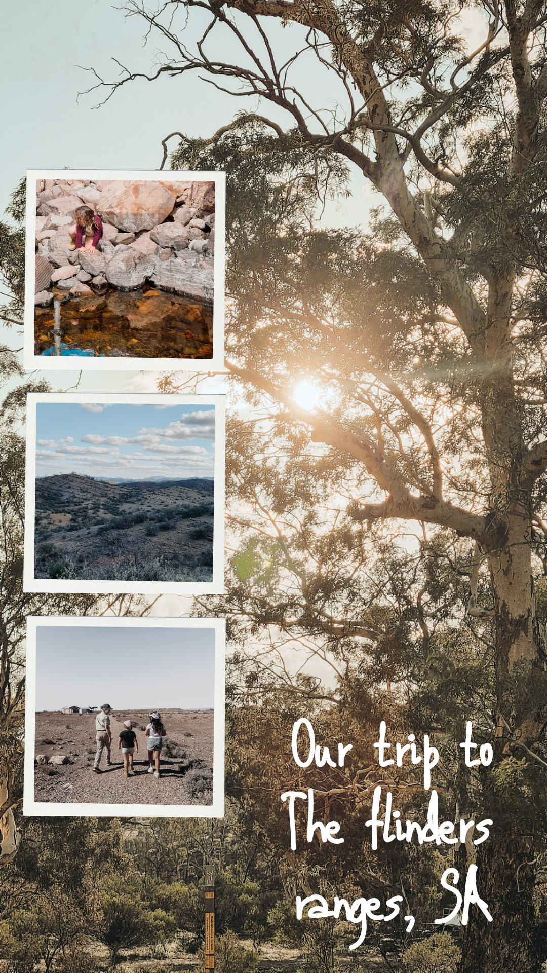 A Journey Through the Flinders Ranges and Gammon Ranges: Family Adventures, Art, and New Connections
